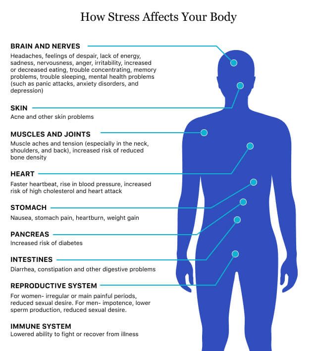 How Stress Affects Your Body