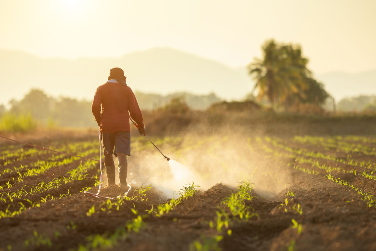 Farmer spraying crops