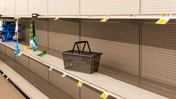 an empty shopping basket sits on an empty shelf at the grocery store